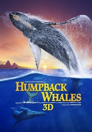 دانلود مستند نهنگ کوهان‌دار Humpback Whales 2015